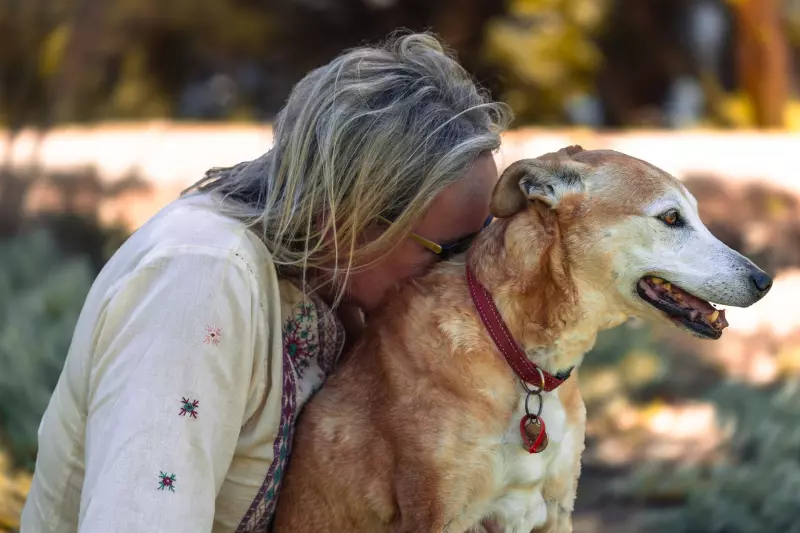 Miss My Dog: Coping with the Silent House and Healing Your Heart