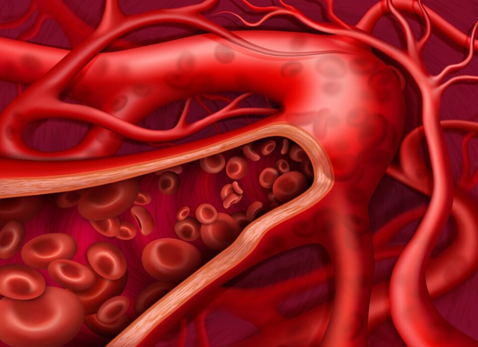 Blood Circulation