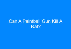 Paintball Gun