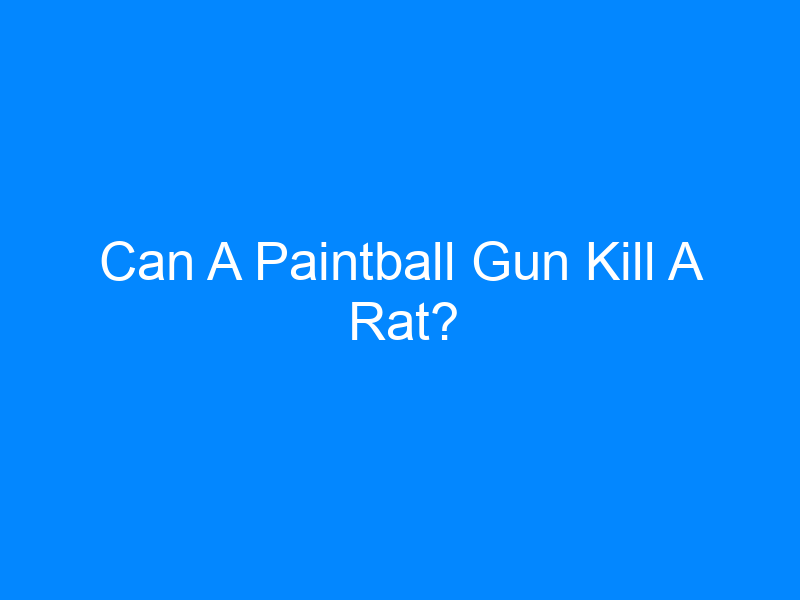 Paintball Gun