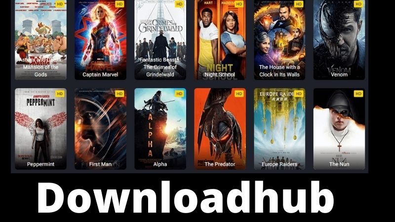 Downloadhub