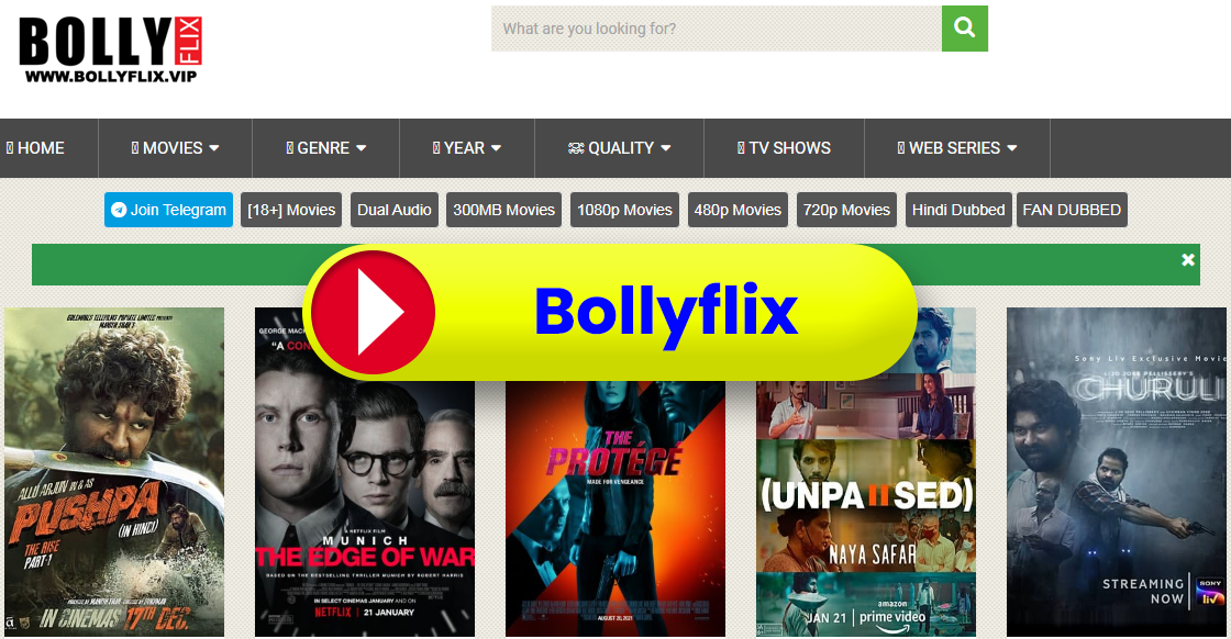 Bollyflix 2022, Bollyflix , Bollyflix.in, Movies 2022 Newz Ticker